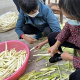 永定区合作桥乡：同舟共济抗疫情  爱心助农解民忧
