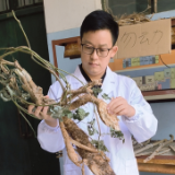 小荷已露尖尖角｜周贤武：深耕生物质材料领域 提升农林资源利用