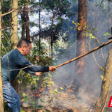 惊险！张家界市林业局森林防火督导人员勇扑山火，救下八旬老人