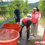 永定区桥头乡：实施“三个一”工作机制 探索基层网格治理新模式