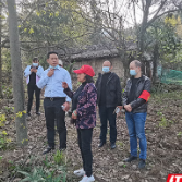 张家界基层党建工作优秀实践创新案例：武陵源区“办公开放日”探索群众参与乡村治理新路径