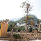 张家界市基层党建工作优秀实践创新案例：桑植县竹叶坪乡浸峪村打造乡村振兴“新样板”