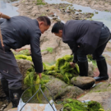 守护一江碧水  阳湖坪在行动