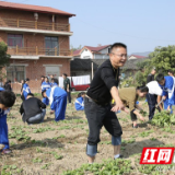 劳动实践助力“双减”落地