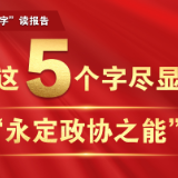 “字”读报告丨这5个字尽显“永定政协之能”！