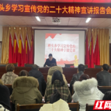 激发思想共鸣 汇聚精神力量——赵雅宏赴永定区桥头乡宣讲党的二十大精神