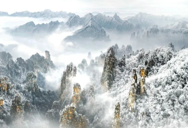 龙头昂首，一起“湘”未来
