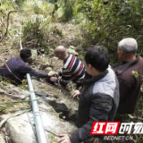 桑植县龙潭坪镇：万水千山总是情 乡村振兴惠民生