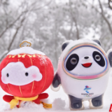 美醉了!“冰墩墩”“雪容融”赏张家界天门山春景