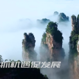 张家界：抢抓机遇促发展 舞活龙头向未来