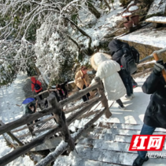 袁家界景区铲雪除冰 排查安全隐患迎游客