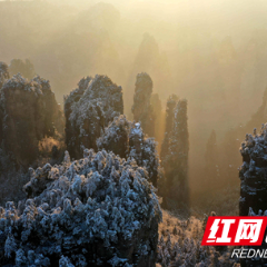 张家界黄石寨景区：立春赏雪 乐享假期（组图）