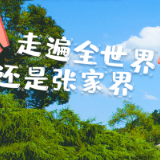 如果张家界的景点会说话：红色桑植