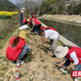 妆山河锦绣 绘国土丹青——教字垭镇开展义务植草志愿服务活动