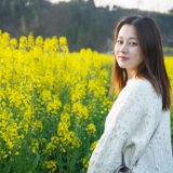 永定区：油菜花开成海，万顷春色如画