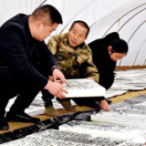 慈利这个村集体经济发展“实打实”