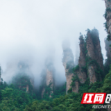 张家界核心景区：雨霁风光石英翠 迷雾前行踏春来