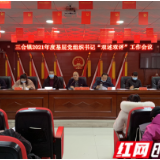 慈利县三合镇：增强党建引领 凝聚奋进力量