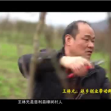 王林元：返乡创业带动群众共同致富