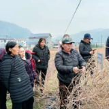 永定区：王家坪镇伞家湾茶农到罗塔坪“取经”