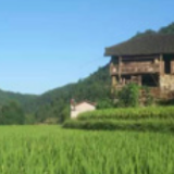 市自然资源和规划局：“屋场会+田长制” 推进耕地保护见成效