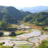 慈利县阳和土家族乡：坚决打赢松材线虫病防控歼灭战和森林防火持久战