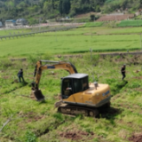 张家界：“果树上山、腾田种粮”模式 推进耕地“非粮化”整改