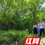 慈利县零阳街道：筑牢森林防火墙 守护村民安康