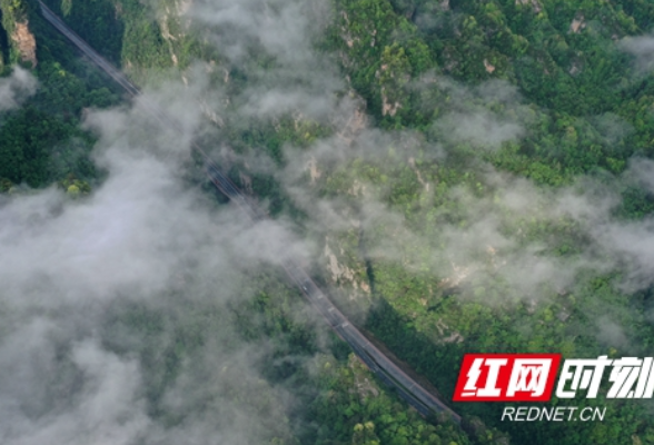 这条云雾缭绕的旅游公路要上热搜啦！（组图）