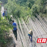 永定区枫香岗街道及时清除一处水利工程防汛安全隐患