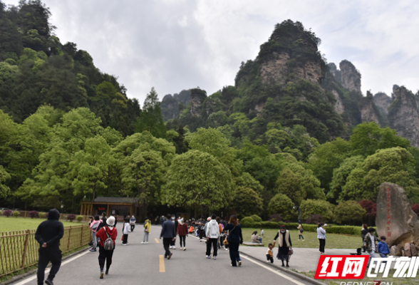 5月1日，张家界核心景区一次性进山13092人次 十二生肖小火车备受游客青睐