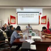 永定区合作桥乡：多措并举，“两违”治理再推进