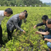 “技术+智力支持，让农产品好得有道理”——九三学社市委会助力乡村振兴小记