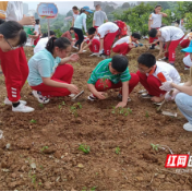 慈利县一完小：“小农夫”们基地里忙抢种