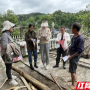 永定区罗水乡：提高全民法治意识  推动平安罗水创建