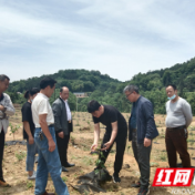 慈利县水利局： 练强帮扶“四力”，助力驻村见效