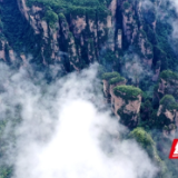 张家界武陵源景区黄石寨云绕峰林美如画 （组图）