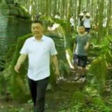 视频｜走进粽叶第一村——桑植县龙潭坪镇红军村
