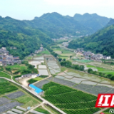 张家界市武陵源区协合乡：田园画卷