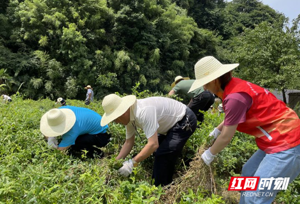 武陵源区锣鼓塔街道张家界社区：党员带头 助力旅发