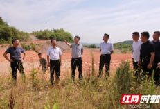 省自然资源厅调研督导张家界市自然资源领域中央生态环境保护督察反馈问题整改工作