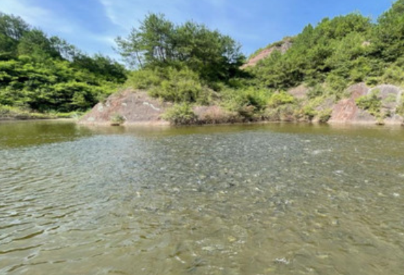 慈利县甘堰土家族乡红岩岭村：不忘初心 赓续奋斗 擘画乡村振兴蓝图