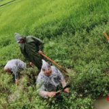 永定区教字垭：大雨中的军装绿 老百姓的“保护伞”