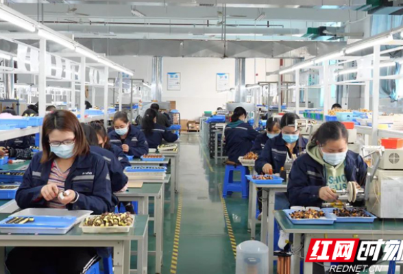 万名干部联万企｜张家界干部联企走真心 “内外”结合增动力