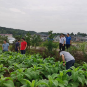 慈利县许家坊土家族乡许家坊村：坚持党建引领 总揽乡村振兴发展全局