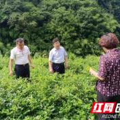 武陵源区锣鼓塔街道张家界社区：三联四建解难题 助力旅游发展大会
