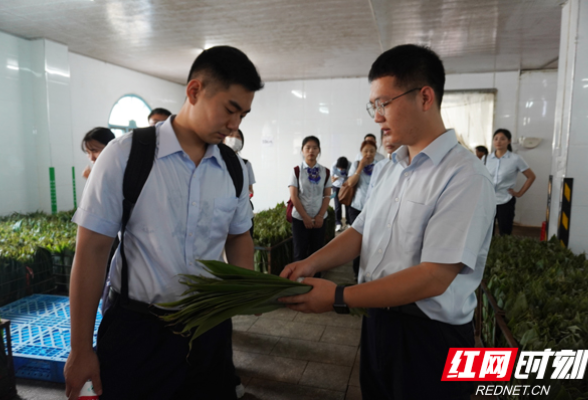 建行张家界市分行开展“金智惠民 乡村振兴”万名学子暑期下乡实践活动