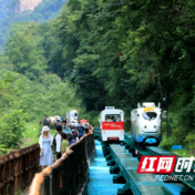 张家界武陵源景区实施分时预约制 游览空间充足