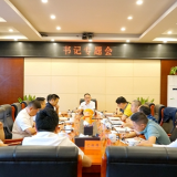 张龚主持召开书记专题会