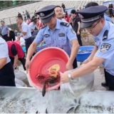 永定公安：聚力“生态警务”  护好“一方安澜”